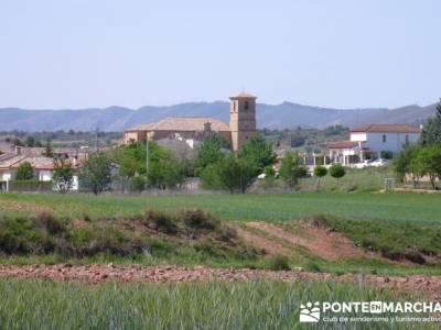 Ruta de las Caras - Buendía (Embalse de Buendía); club senderismo almeria